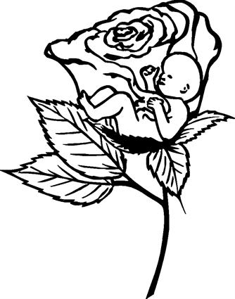 rose-with-baby-inside