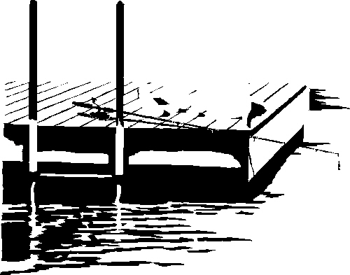 dock-with-poles