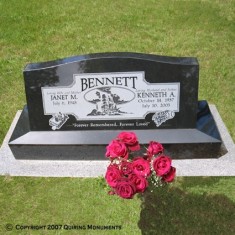 Companion Upright - WCU 020 Companion Upright - WCU 020