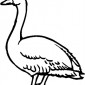 goose02