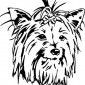 west-highland-terrier01