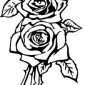 roses94