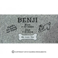 Include a custom drawing of your pet for a personalized touch. Include a custom drawing of your pet for a personalized touch.