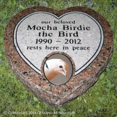 Mocha Birdie brought love and companionship to her family of office-mates. Mocha Birdie brought love and companionship to her family of office-mates.