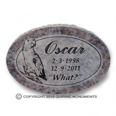 Pet - WP 006 Pet - WP 006