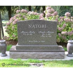 Companion Upright - WCU 045 Companion Upright - WCU 045