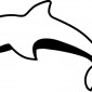 dolphin02